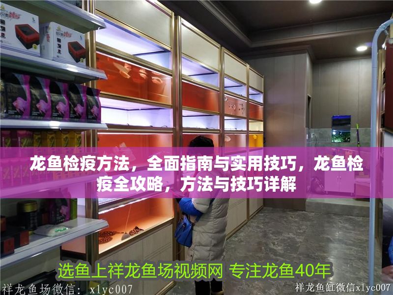 龍魚檢疫方法，全面指南與實用技巧，龍魚檢疫全攻略，方法與技巧詳解