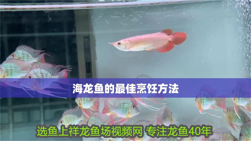 海龍魚的最佳烹飪方法