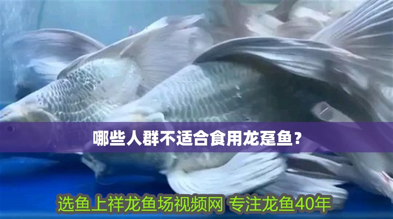 哪些人群不適合食用龍躉魚？