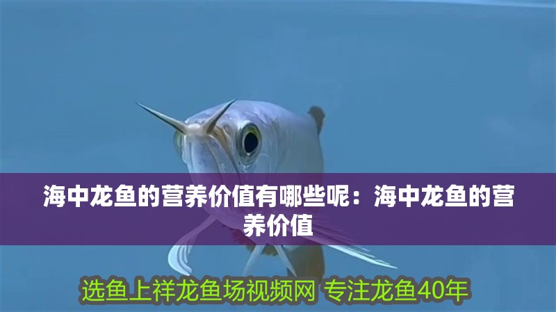 海中龍魚的營養價值有哪些呢：海中龍魚的營養價值