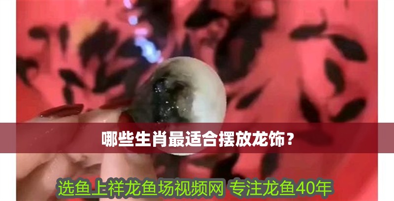 哪些生肖最適合擺放龍飾？