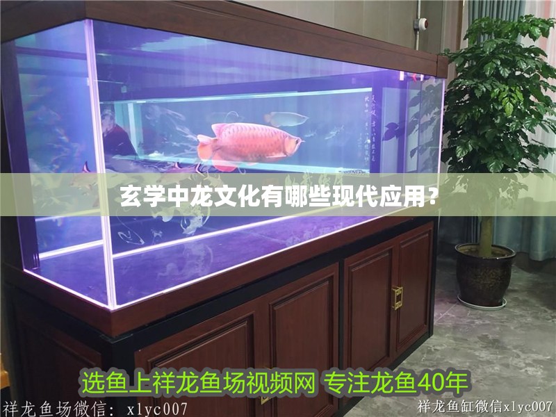 玄學中龍文化有哪些現(xiàn)代應用？