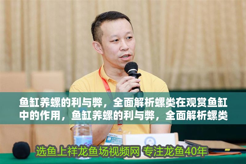 魚缸養螺的利與弊，全面解析螺類在觀賞魚缸中的作用，魚缸養螺的利與弊，全面解析螺類在觀賞魚缸中的作用與影響