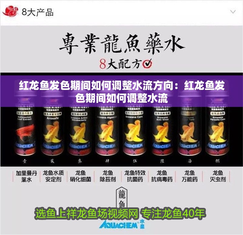 紅龍魚發(fā)色期間如何調整水流方向：紅龍魚發(fā)色期間如何調整水流