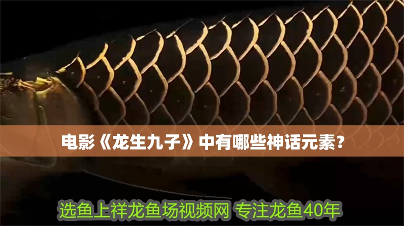 電影《龍生九子》中有哪些神話元素？