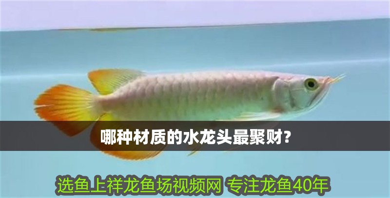 哪種材質(zhì)的水龍頭最聚財(cái)？