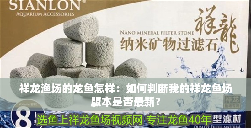 祥龍漁場(chǎng)的龍魚(yú)怎樣：如何判斷我的祥龍魚(yú)場(chǎng)版本是否最新？