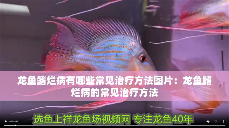 古龍作品中還有哪些經(jīng)典角色？