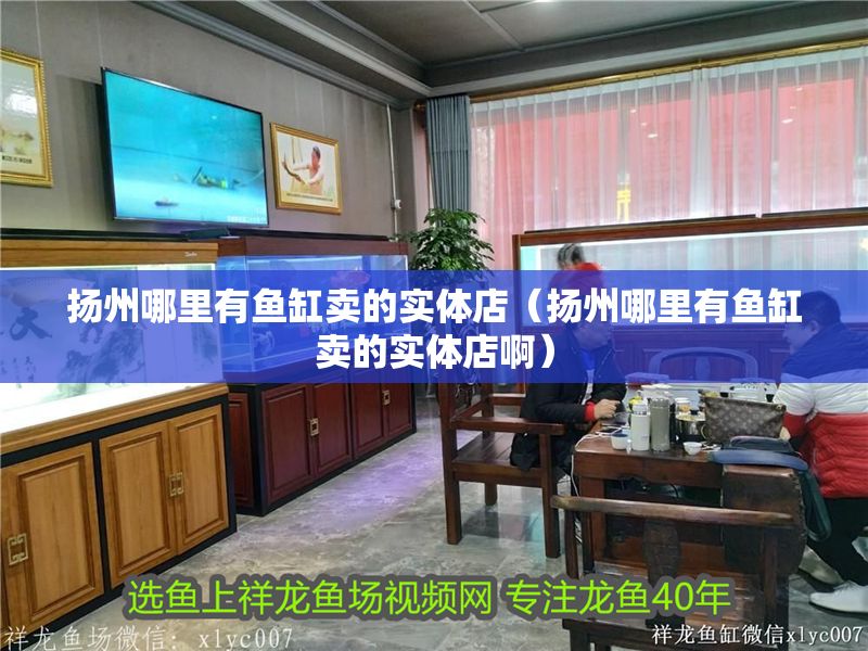揚州哪里有魚缸賣的實體店（揚州哪里有魚缸賣的實體店啊）