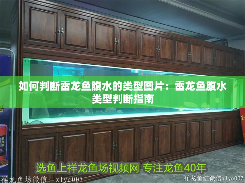 如何判斷雷龍魚腹水的類型圖片：雷龍魚腹水類型判斷指南