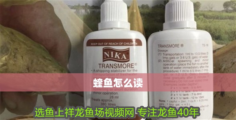 蝰魚怎么讀 蝰魚怎么讀 龍魚百科