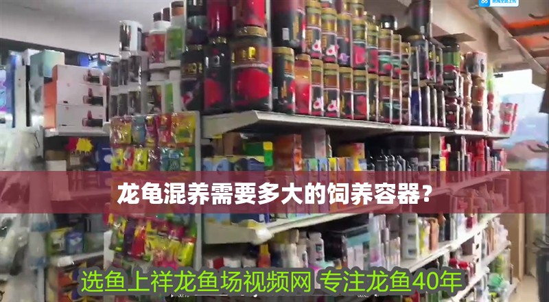 龍龜混養(yǎng)需要多大的飼養(yǎng)容器？