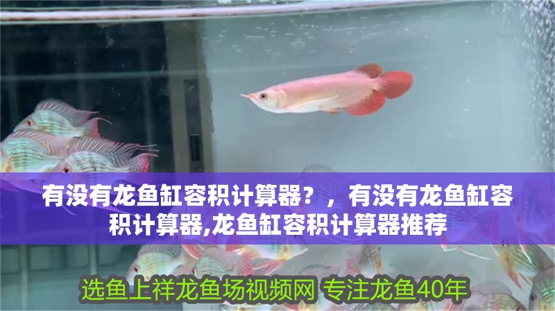 有沒(méi)有龍魚(yú)缸容積計(jì)算器？，有沒(méi)有龍魚(yú)缸容積計(jì)算器,龍魚(yú)缸容積計(jì)算器推薦 有沒(méi)有龍魚(yú)缸容積計(jì)算器？，有沒(méi)有龍魚(yú)缸容積計(jì)算器,龍魚(yú)缸容積計(jì)算器推薦 龍魚(yú)百科