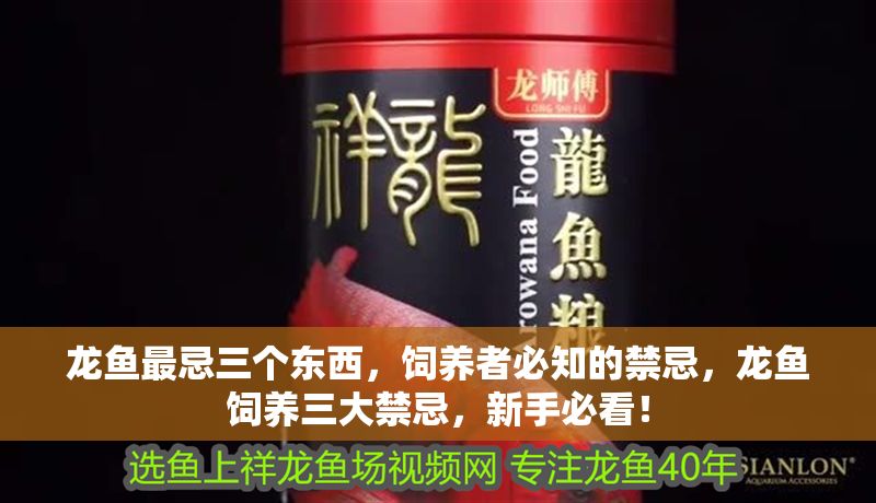 龍魚最忌三個東西，飼養者必知的禁忌，龍魚飼養三大禁忌，新手必看！