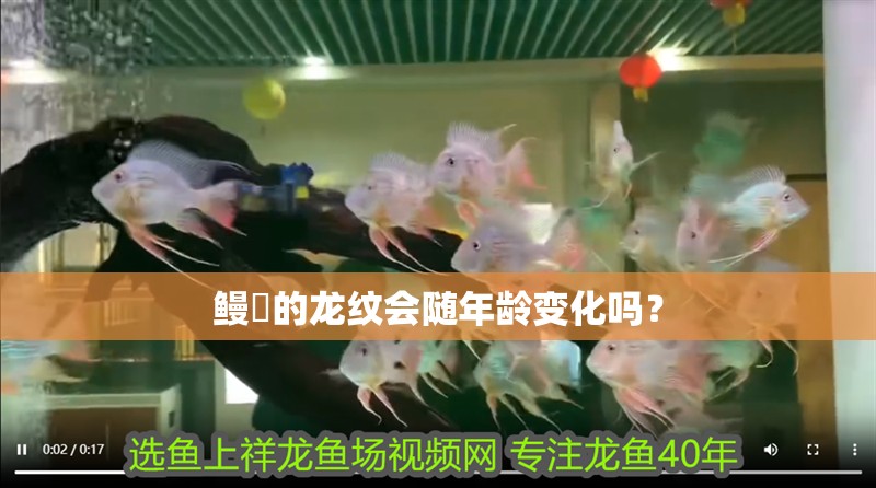 鰻鳚的龍紋會(huì)隨年齡變化嗎？
