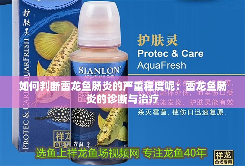 如何判斷雷龍魚腸炎的嚴重程度呢：雷龍魚腸炎的診斷與治療