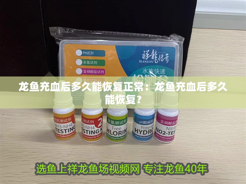龍魚充血后多久能恢復正常：龍魚充血后多久能恢復？ 龍魚充血后多久能恢復正常：龍魚充血后多久能恢復？ 水族問答