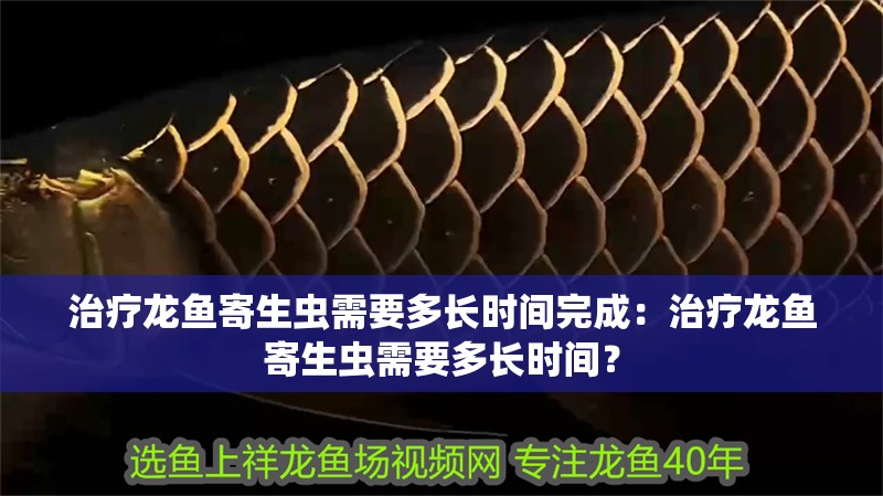 治療龍魚寄生蟲需要多長時間完成：治療龍魚寄生蟲需要多長時間？