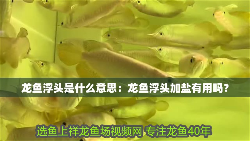 龍魚浮頭是什么意思：龍魚浮頭加鹽有用嗎？