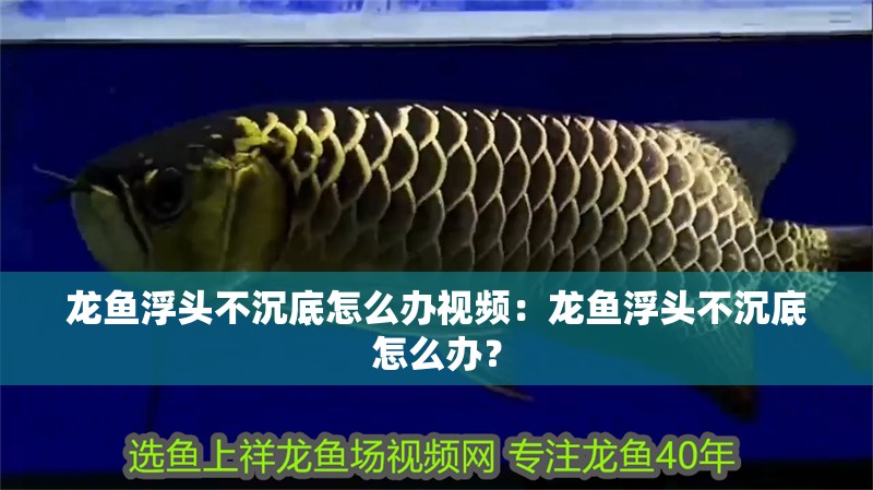 龍魚浮頭不沉底怎么辦視頻：龍魚浮頭不沉底怎么辦？