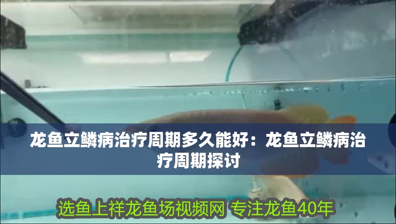 龍魚立鱗病治療周期多久能好：龍魚立鱗病治療周期探討