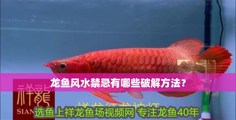 龍魚風水禁忌有哪些破解方法？