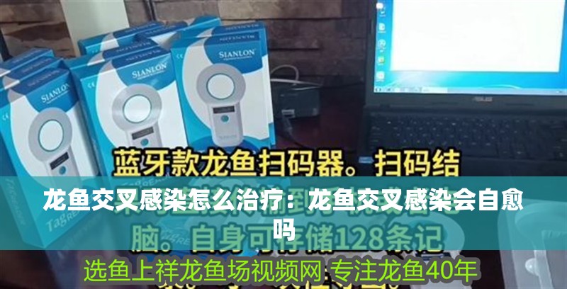 龍魚交叉感染怎么治療：龍魚交叉感染會自愈嗎