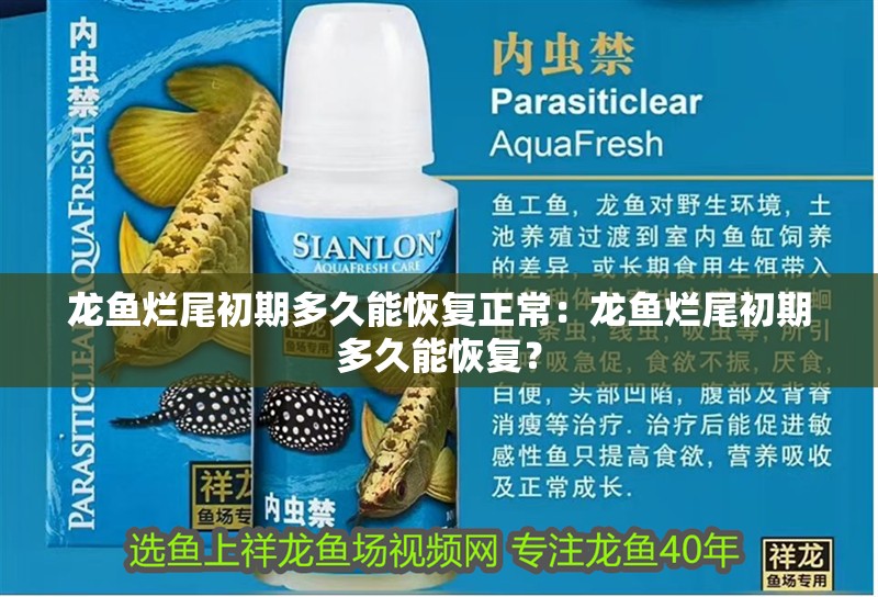 龍魚爛尾初期多久能恢復正常：龍魚爛尾初期多久能恢復？ 龍魚爛尾初期多久能恢復正常：龍魚爛尾初期多久能恢復？ 水族問答