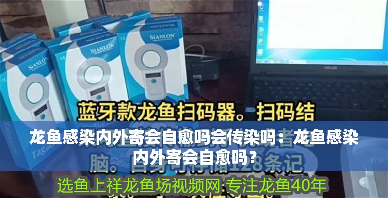 龍魚感染內(nèi)外寄會(huì)自愈嗎會(huì)傳染嗎：龍魚感染內(nèi)外寄會(huì)自愈嗎？
