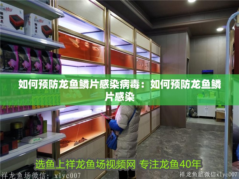 如何預(yù)防龍魚鱗片感染病毒：如何預(yù)防龍魚鱗片感染