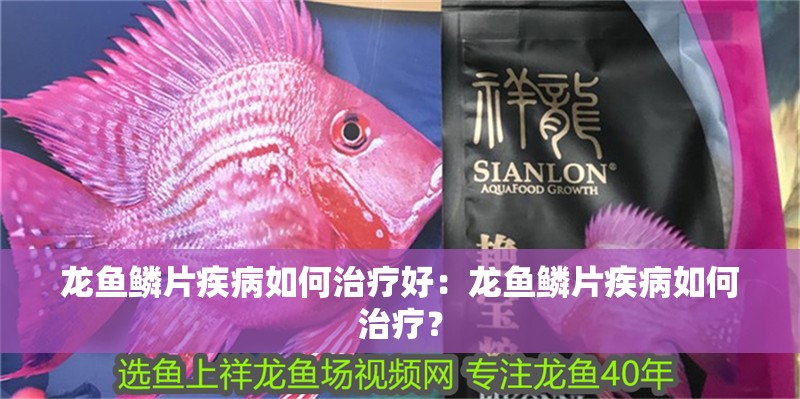 龍魚鱗片疾病如何治療好：龍魚鱗片疾病如何治療？