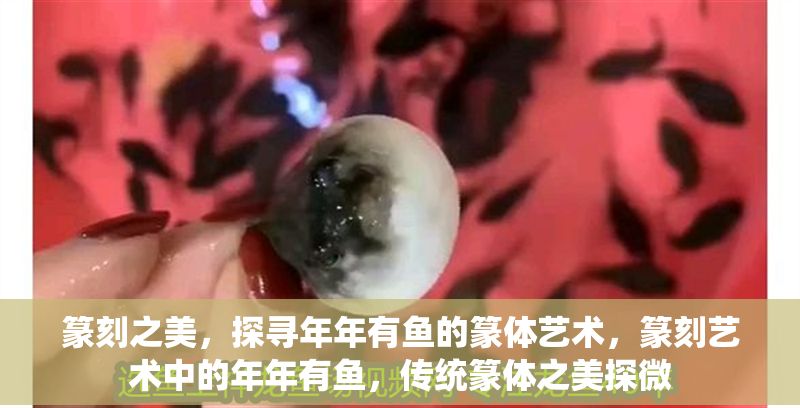 篆刻之美,探尋年年有魚的篆體藝術,篆刻藝術中的年年有魚,傳統篆體之美探微 龍魚百科 第1張 篆刻之美,探尋年年有魚的篆體藝術,篆刻藝術中的年年有魚,傳統篆體之美探微 篆刻之美,探尋年年有魚的篆體藝術,篆刻藝術中的年年有魚,傳統篆體之美探微 龍魚百科 第1張