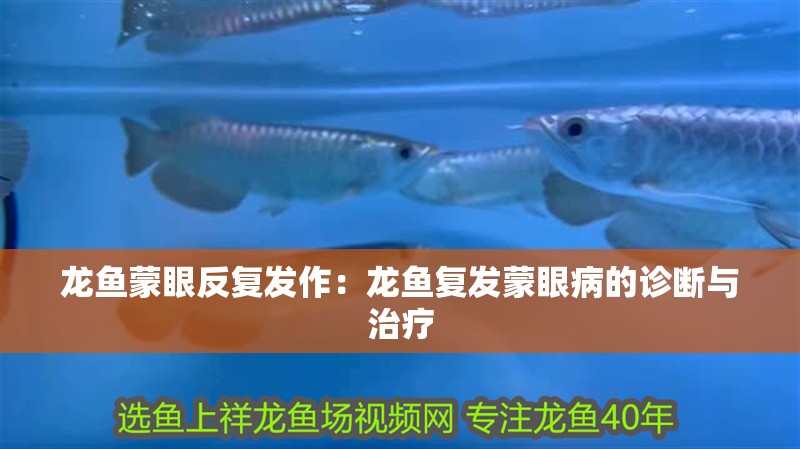 龍魚蒙眼反復發(fā)作：龍魚復發(fā)蒙眼病的診斷與治療