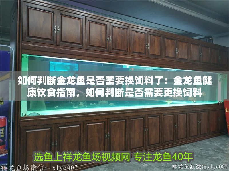 如何判斷金龍魚是否需要換飼料了：金龍魚健康飲食指南，如何判斷是否需要更換飼料
