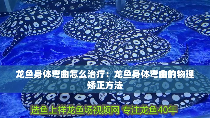 龍魚身體彎曲怎么治療：龍魚身體彎曲的物理矯正方法