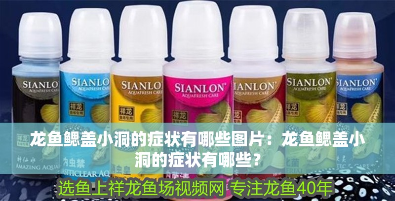 龍魚鰓蓋小洞的癥狀有哪些圖片：龍魚鰓蓋小洞的癥狀有哪些？
