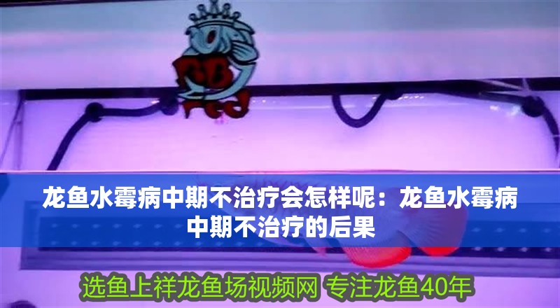 龍魚水霉病中期不治療會怎樣呢：龍魚水霉病中期不治療的后果