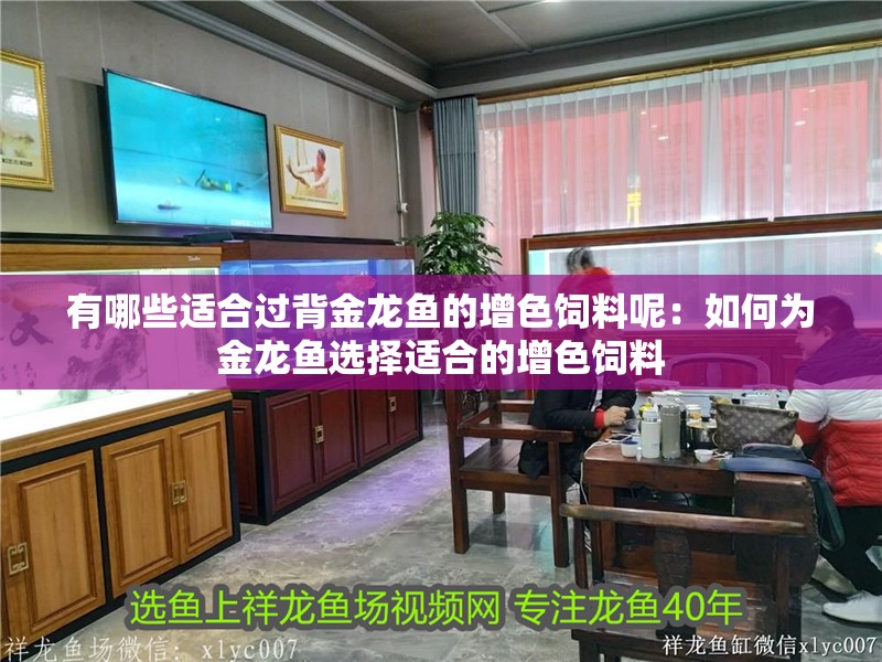 有哪些適合過(guò)背金龍魚(yú)的增色飼料呢：如何為金龍魚(yú)選擇適合的增色飼料