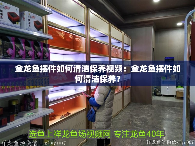 金龍魚擺件如何清潔保養視頻：金龍魚擺件如何清潔保養？ 金龍魚擺件如何清潔保養視頻：金龍魚擺件如何清潔保養？ 水族問答
