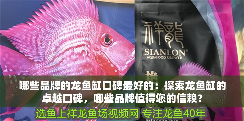 哪些品牌的龍魚缸口碑最好的：探索龍魚缸的卓越口碑，哪些品牌值得您的信賴？