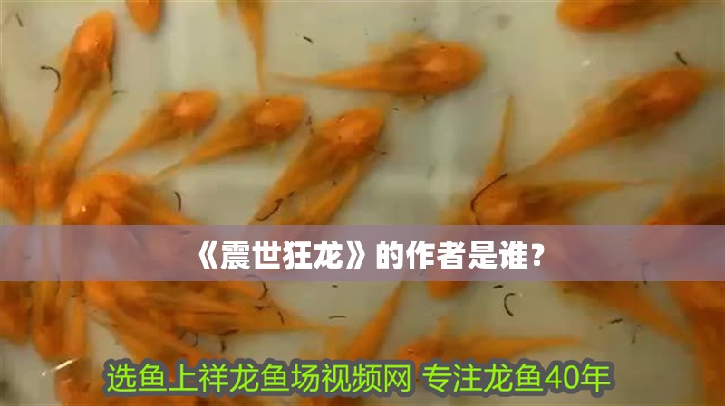 《震世狂龍》的作者是誰？