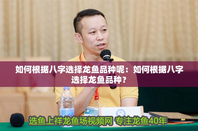 如何根據八字選擇龍魚品種呢：如何根據八字選擇龍魚品種？