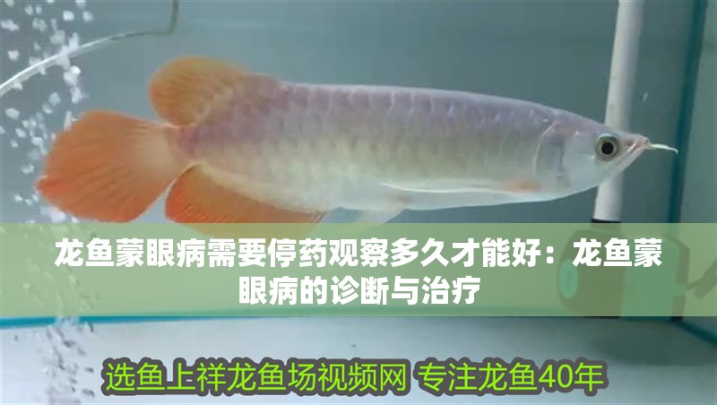 龍魚(yú)蒙眼病需要停藥觀察多久才能好：龍魚(yú)蒙眼病的診斷與治療