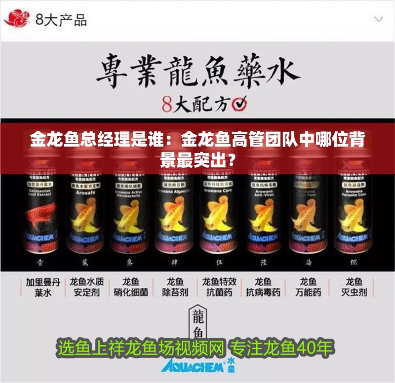 金龍魚總經理是誰：金龍魚高管團隊中哪位背景最突出？