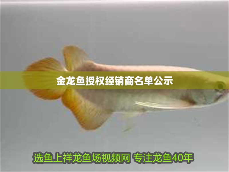 魚缸用增氧泵價(jià)格是多少:魚缸增氧機(jī)-xtrac增氧機(jī)-xtrac增氧機(jī) 金龍魚授權(quán)經(jīng)銷商名單公示 龍魚百科 金龍魚授權(quán)經(jīng)銷商名單公示 金龍魚授權(quán)經(jīng)銷商名單公示 龍魚百科