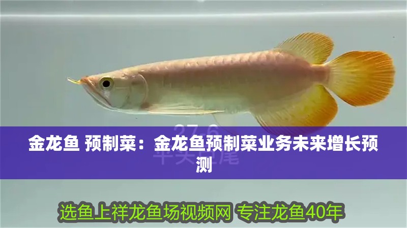 金龍魚 預制菜：金龍魚預制菜業務未來增長預測