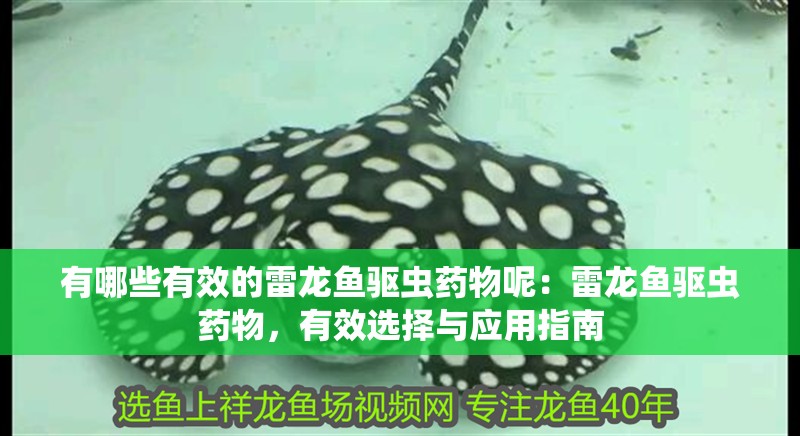 有哪些有效的雷龍魚驅蟲藥物呢：雷龍魚驅蟲藥物，有效選擇與應用指南