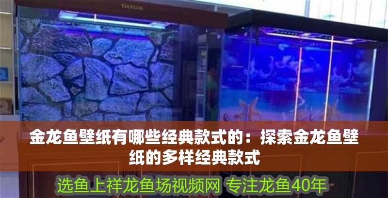 金龍魚壁紙有哪些經典款式的：探索金龍魚壁紙的多樣經典款式