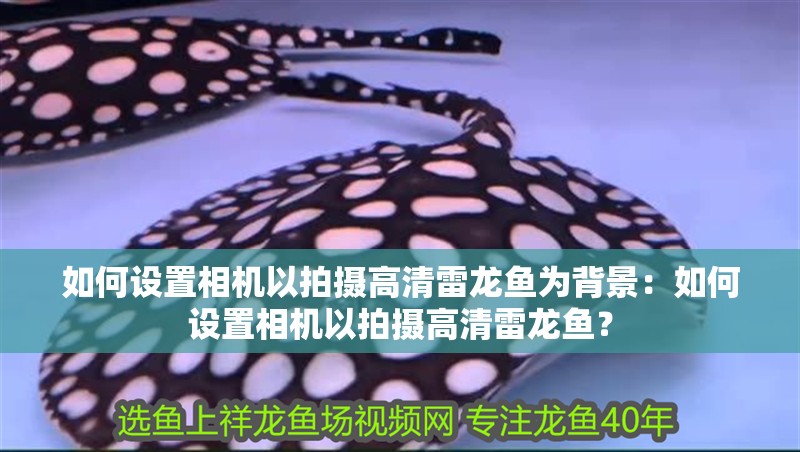 如何設(shè)置相機(jī)以拍攝高清雷龍魚為背景：如何設(shè)置相機(jī)以拍攝高清雷龍魚？