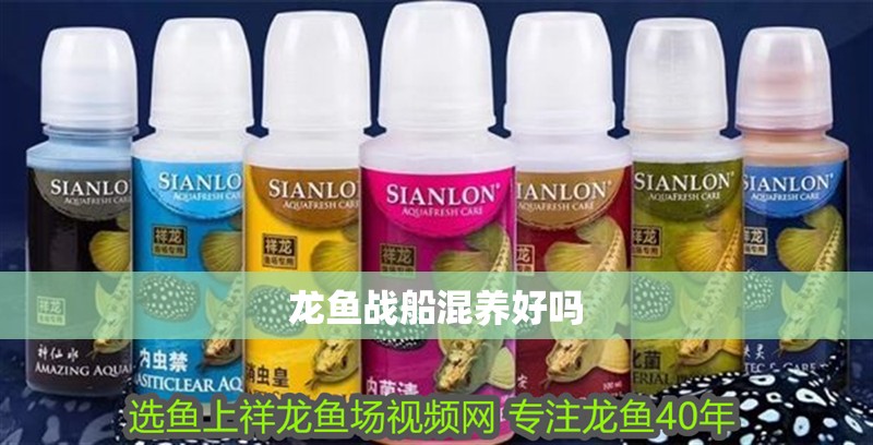 龍魚戰船混養好嗎